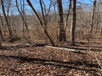 Auction Hawkins County Tennessee - image 36