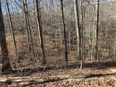 Auction Hawkins County Tennessee - image 4