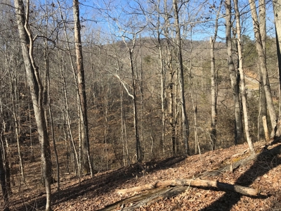 Auction Hawkins County Tennessee - image 3
