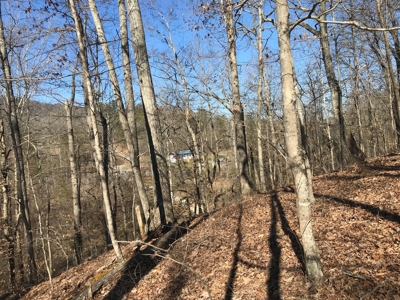 Auction Hawkins County Tennessee - image 2