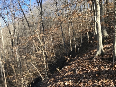 Auction Hawkins County Tennessee - image 9