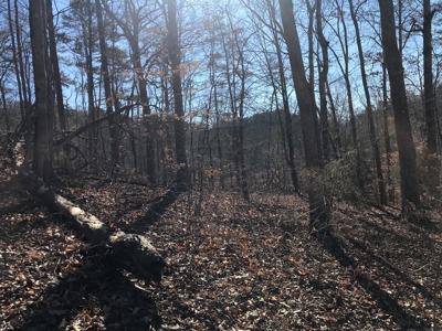 Auction Hawkins County Tennessee - image 6