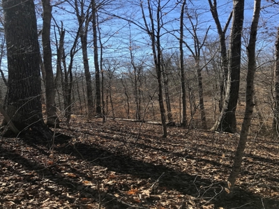 Auction Hawkins County Tennessee - image 22