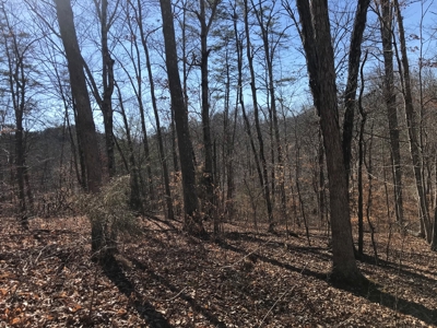 Auction Hawkins County Tennessee - image 7