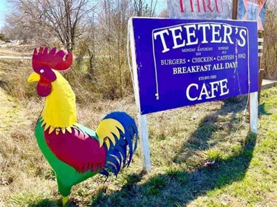 Commercial Restaurant in Salem, AR Hwy 62/412 Frontage - image 1