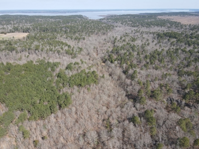 Rural property for sale in Texas - image 2