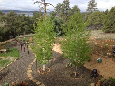 Heron Lake Luxury Home for Sale Near Chama NM Laguna Vista - image 4