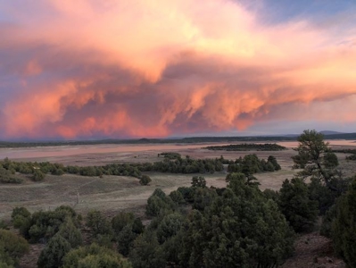 Heron Lake Luxury Home for Sale Near Chama NM Laguna Vista - image 2