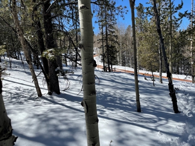 Mountain Property for Sale near Divide Colorado - image 7