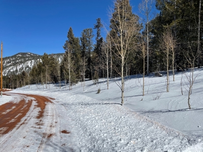 Mountain Property for Sale near Divide Colorado - image 1