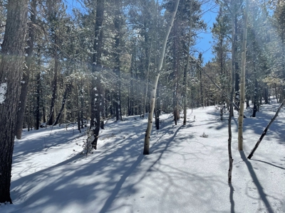 Mountain Property for Sale near Divide Colorado - image 8