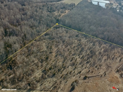 Southern Missouri Land for Sale - image 16