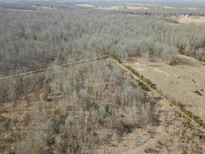 Southern Missouri Land for Sale - image 29