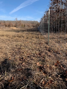 Southern Missouri Land for Sale - image 7