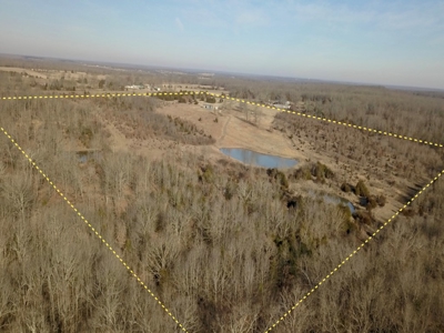 Southern Missouri Land for Sale - image 26
