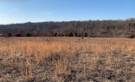 Southern Missouri Land for Sale - image 5