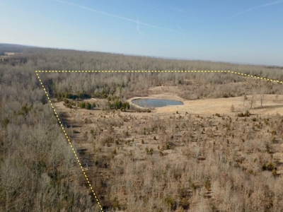 Southern Missouri Land for Sale - image 25