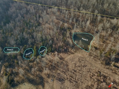 Southern Missouri Land for Sale - image 15