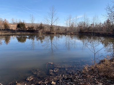 Southern Missouri Land for Sale - image 2