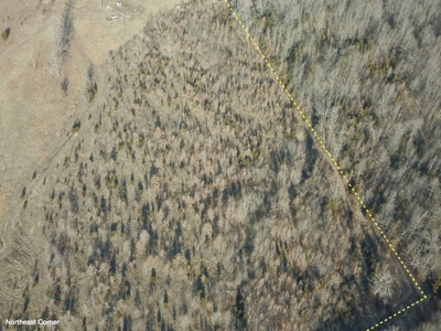 Southern Missouri Land for Sale - image 20