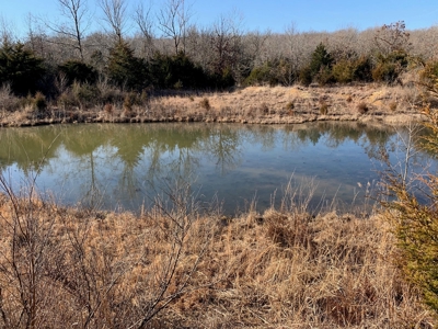 Southern Missouri Land for Sale - image 6