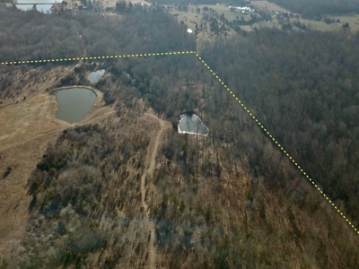 Southern Missouri Land for Sale - image 23