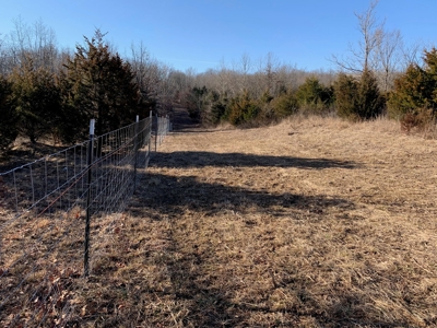 Southern Missouri Land for Sale - image 9