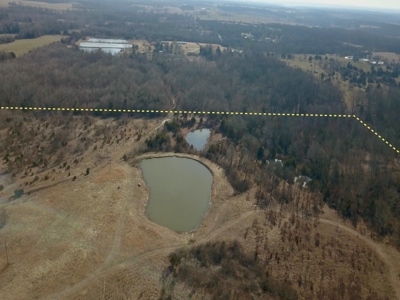 Southern Missouri Land for Sale - image 27