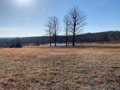 Southern Missouri Land for Sale - image 11
