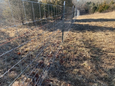 Southern Missouri Land for Sale - image 8