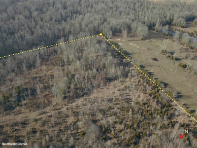 Southern Missouri Land for Sale - image 18