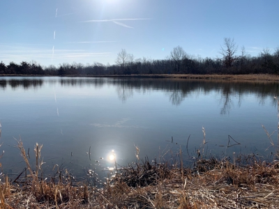 Southern Missouri Land for Sale - image 12