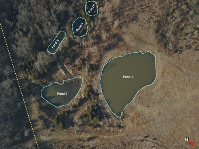 Southern Missouri Land for Sale - image 14