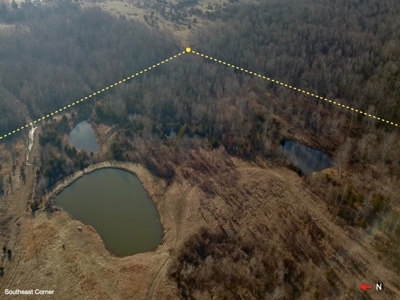 Southern Missouri Land for Sale - image 17
