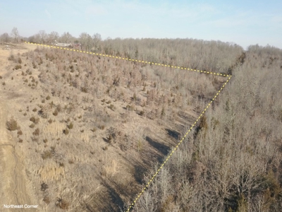 Southern Missouri Land for Sale - image 24