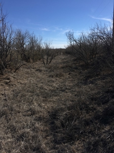 705 acre, I-10 ranch near Fort Stockton, Pecos County, Texas - image 11