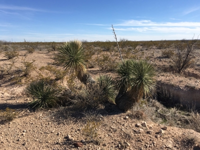 705 acre, I-10 ranch near Fort Stockton, Pecos County, Texas - image 6