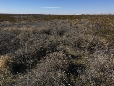 705 acre, I-10 ranch near Fort Stockton, Pecos County, Texas - image 12