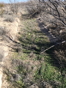 705 acre, I-10 ranch near Fort Stockton, Pecos County, Texas - image 20