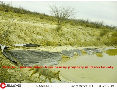 705 acre, I-10 ranch near Fort Stockton, Pecos County, Texas - image 27