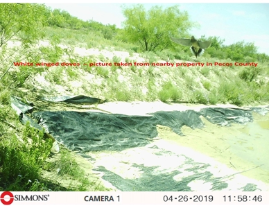 705 acre, I-10 ranch near Fort Stockton, Pecos County, Texas - image 23