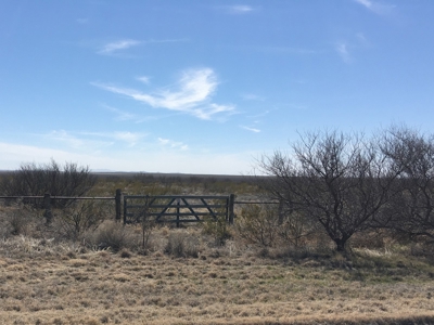 705 acre, I-10 ranch near Fort Stockton, Pecos County, Texas - image 1