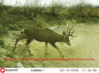 705 acre, I-10 ranch near Fort Stockton, Pecos County, Texas - image 24