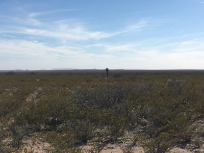 705 acre, I-10 ranch near Fort Stockton, Pecos County, Texas - image 10