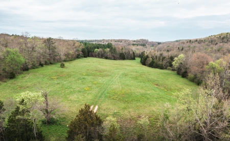 Hunting Paradise In Southern Missouri - image 13