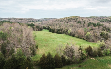 Hunting Paradise In Southern Missouri - image 22