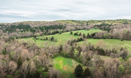 Hunting Paradise In Southern Missouri - image 17