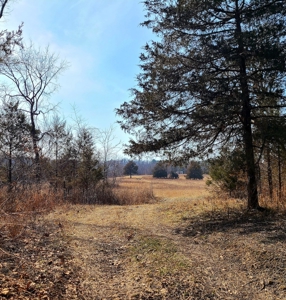 Hunting Paradise In Southern Missouri - image 6