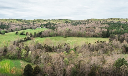 Hunting Paradise In Southern Missouri - image 18