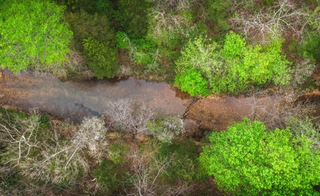 Hunting Paradise In Southern Missouri - image 10